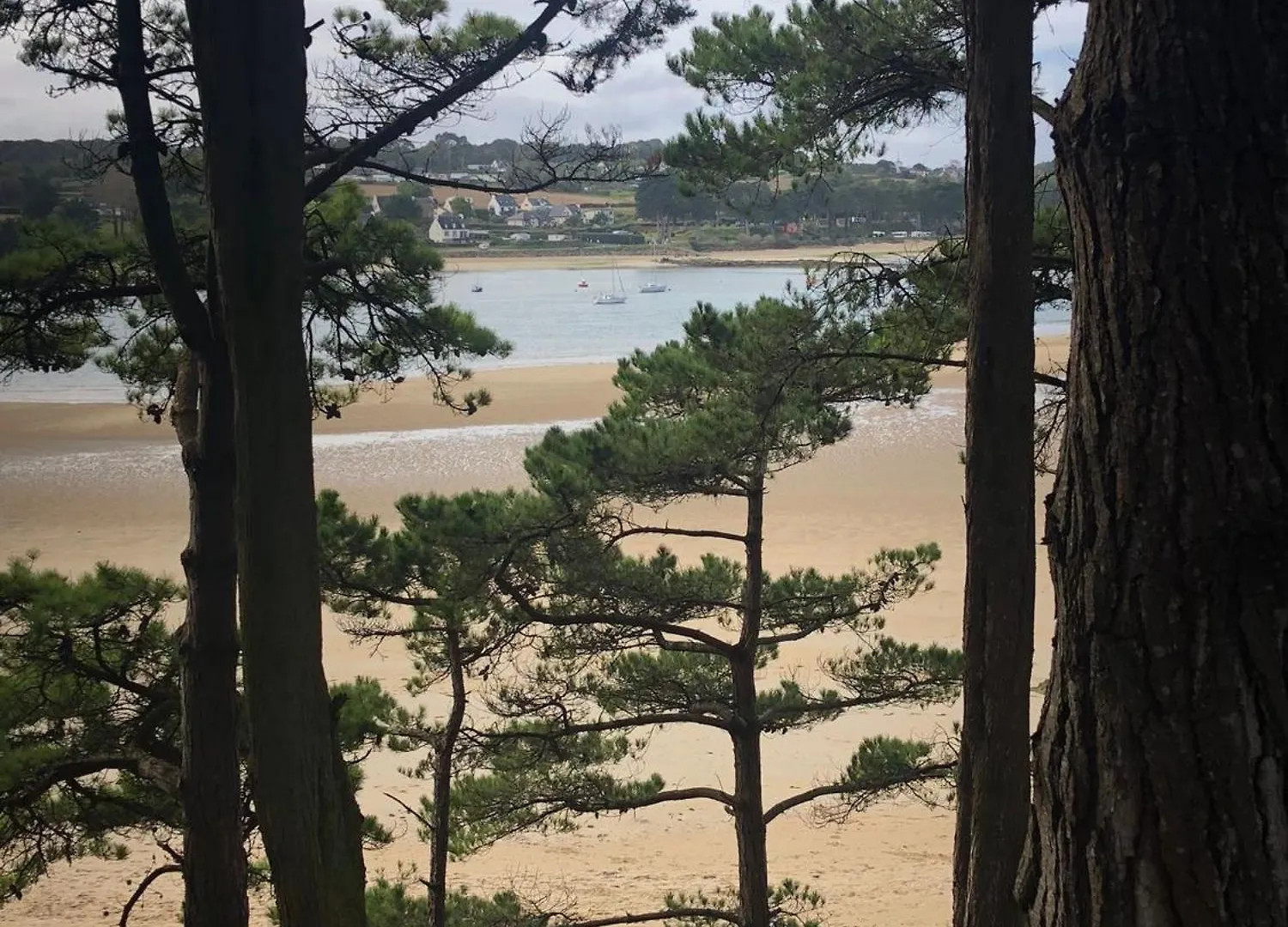 Maison Plestin Proche Plage Et Gr 34 Avec Jardin Plestin-les-Grèves